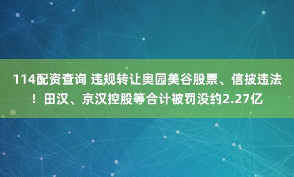 114配资查询 违规转让奥园美谷股票、信披违法！田汉、京汉控股等合计被罚没约2.27亿