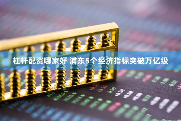 杠杆配资哪家好 浦东5个经济指标突破万亿级