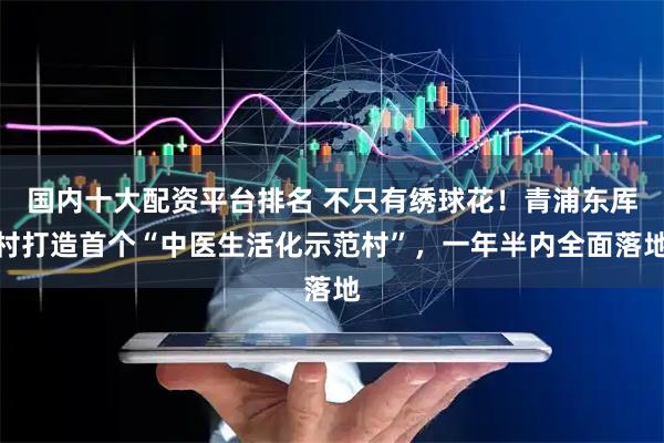 国内十大配资平台排名 不只有绣球花！青浦东厍村打造首个“中医生活化示范村”，一年半内全面落地